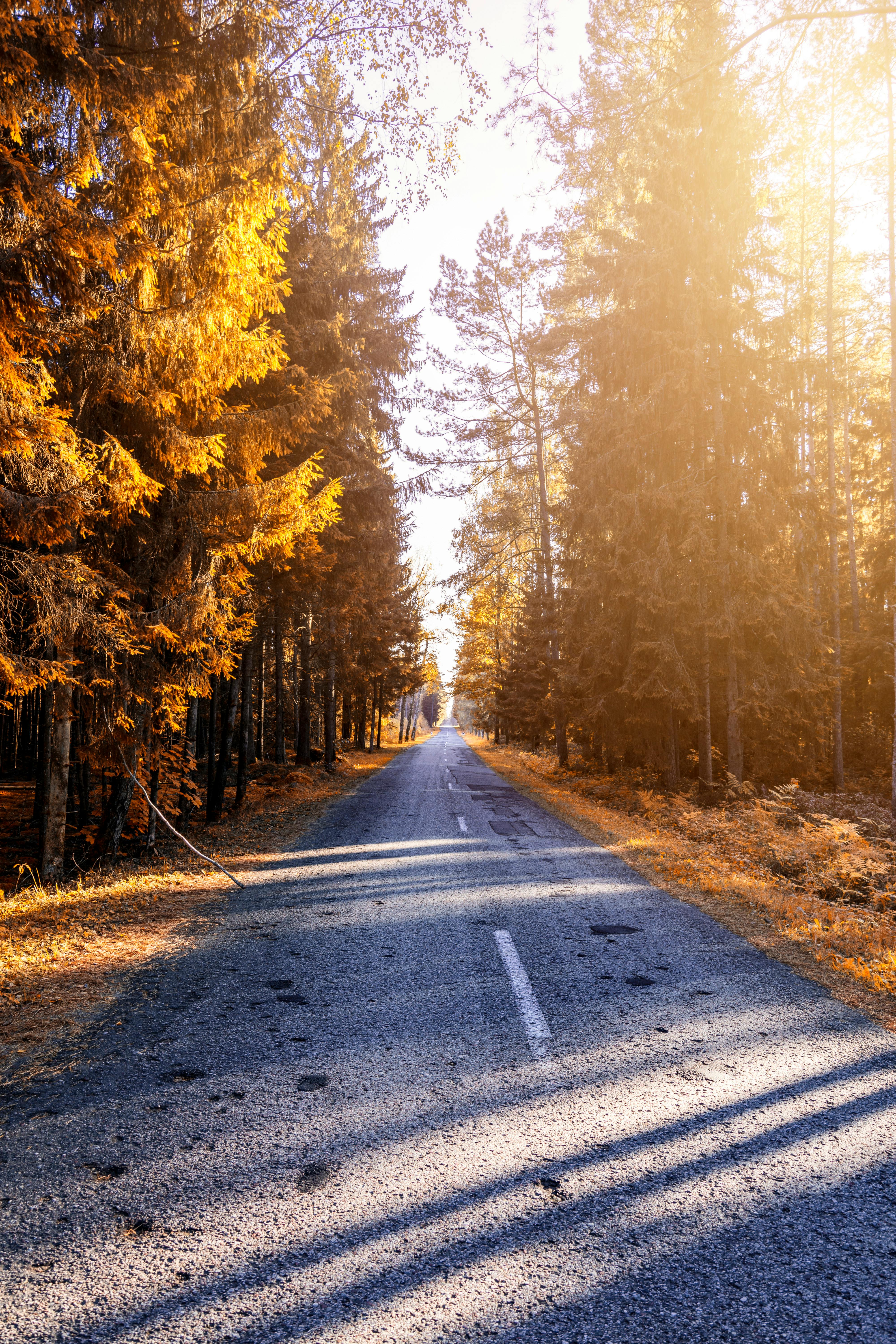 Effective Ways to Delete All Emails in 2025 – Get Started Today!