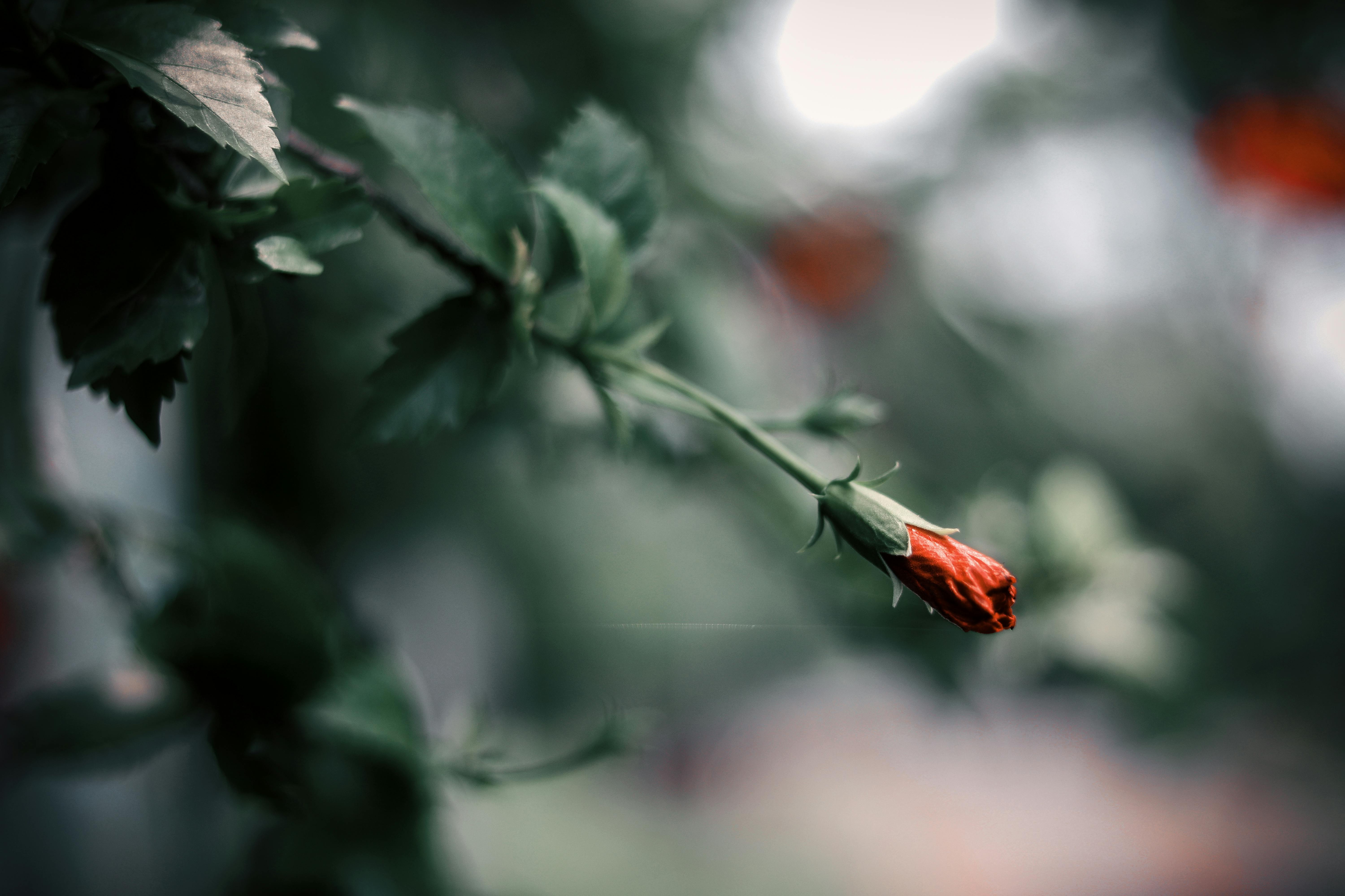 Effective Ways to Get Rid of Ladybugs in Your House Today